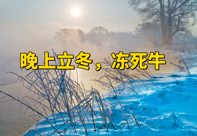 “白天立冬，穿单衣；晚上立冬，冻死牛	”	，今年立冬是在几点？