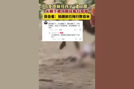 恐怖一幕！马受惊骑马孩子被马拖行数百米据网友说孩子疑似死亡。图片