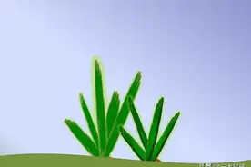 都是“牛”：cow, ox, bull, buffalo和cattle，有什么区别？图片