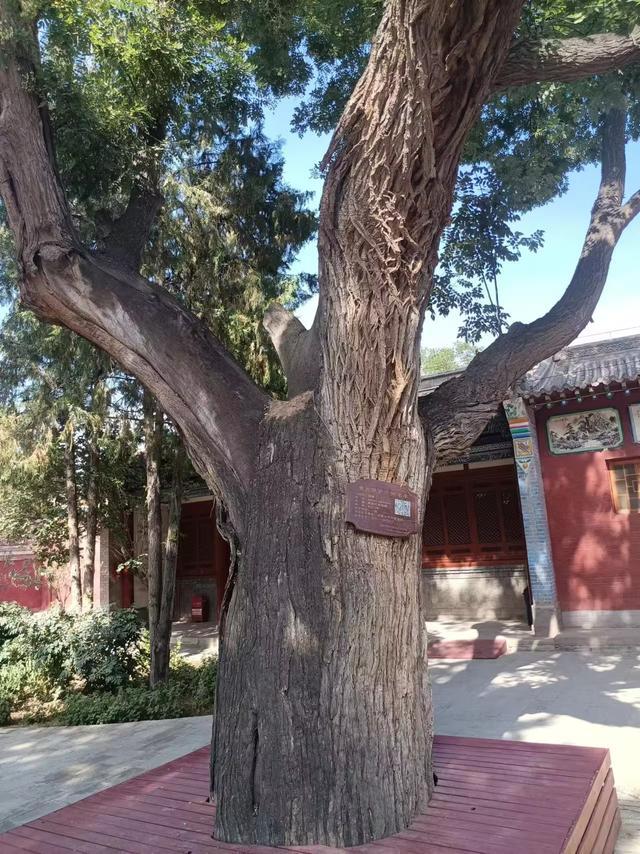 又踏甘肃地之四十 武威篇之三 武威文庙（1）