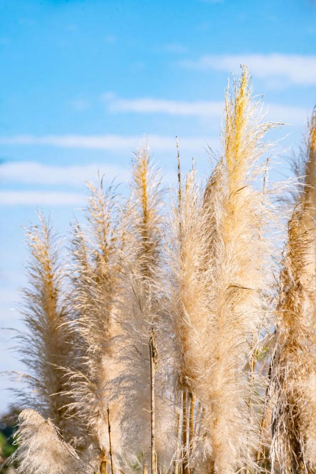今日大雪 | 打卡这里,定格冬日专属美照