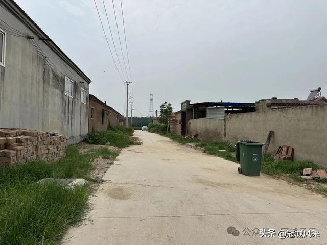 冠县乡韵·甘官屯镇太平庄