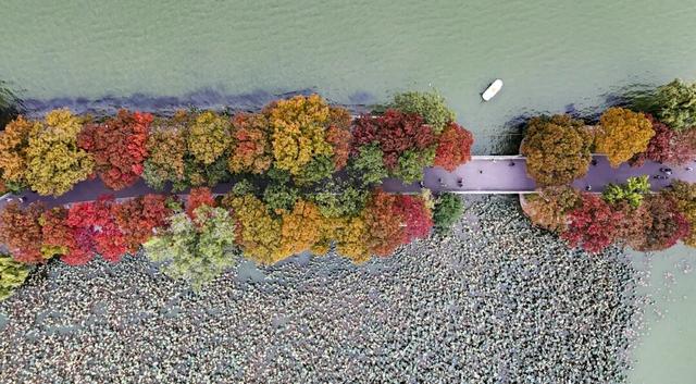 环湖秋美，顶好~