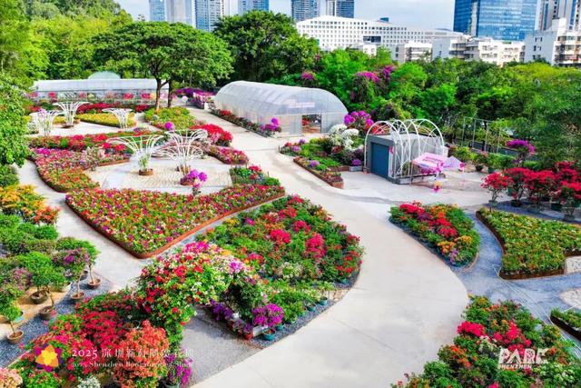 走！今天出发莲花山！拍“爆”20万㎡花海