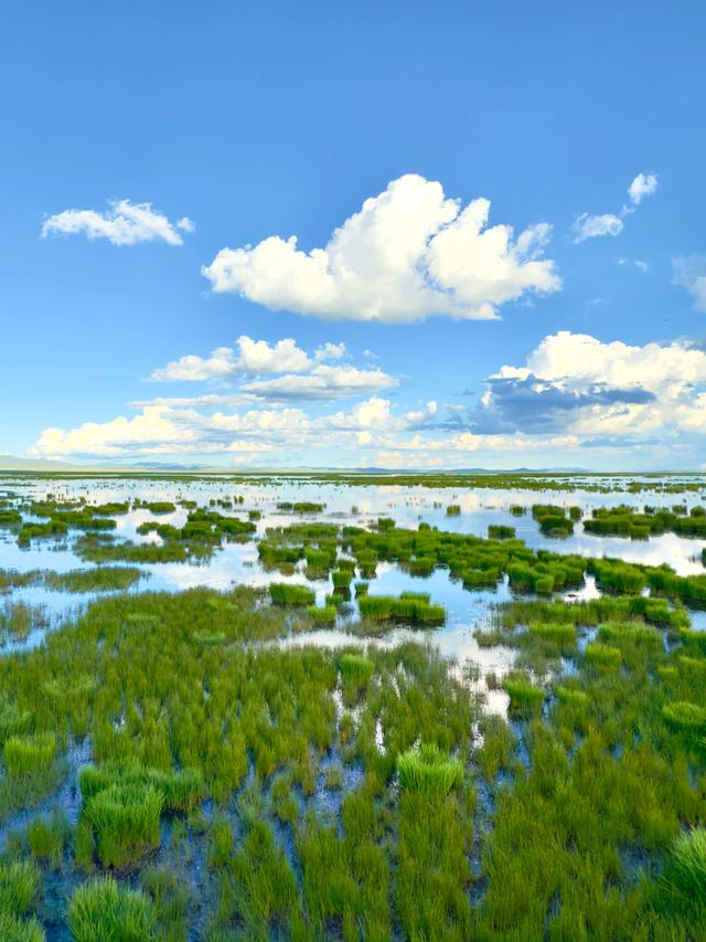 绿原无垠漫风烟(阿坝州若尔盖县花湖生态旅游区)