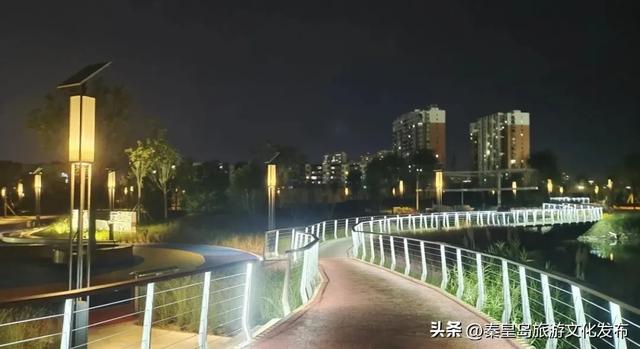 实拍！秦皇岛家门口的免费好去处，这个百亩湿地公园晚上也能逛~