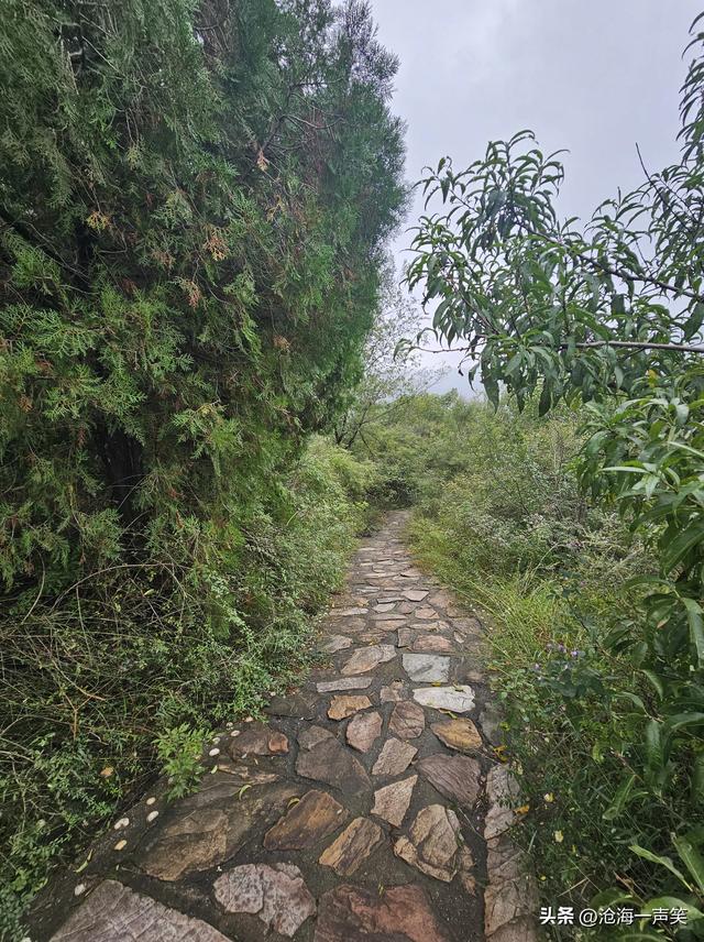 向往大山，向大山出发，天然氧吧，一路向上，无畏无惧，一起吧