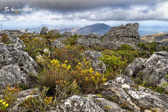G20后南非旅游爆火？看“上帝餐桌”魔幻景色，这些角度最壮观！