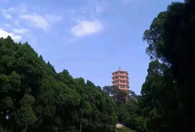 接下来的金堂，即将美成这样→