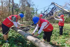 千里驰援 并肩作战 中国联通援琼抢修队奔赴海南全力支援灾后通信抢修工作图片