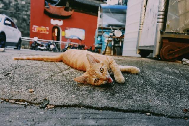 神仙不输泉州，这座闽东小城也有封神的秋天