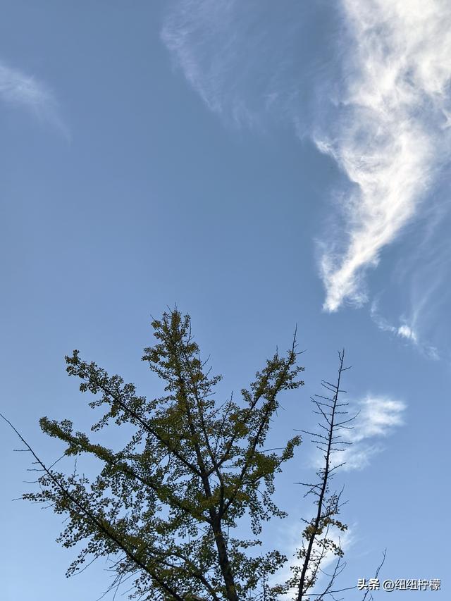 在甘肃省定西市临洮县吃了牛肉面，一碗面条多到足够两个人一起吃