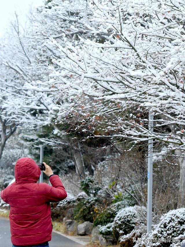 雪后西海岸，美成童话！