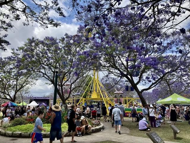 澳洲一年一次的绝美风景再度刷屏! 周杰伦也在打卡, 华人狂偶遇