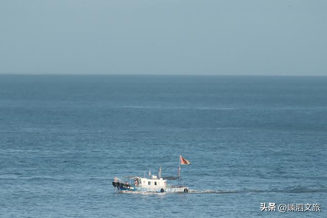 喜大普奔！淡季“沈家湾——花鸟”旅游定制航班下周五开通！