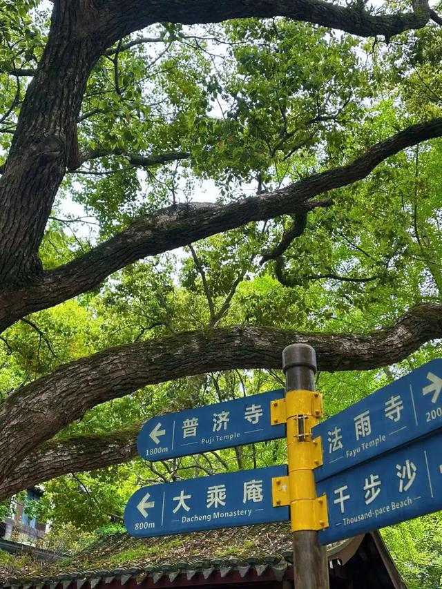 你知道为什么你会对普陀山念念不忘吗？