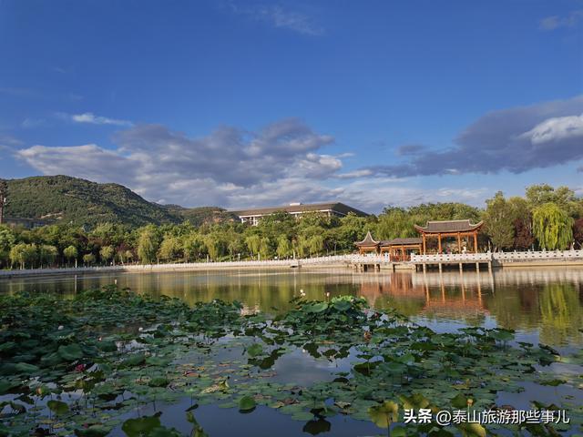 泰安：泰山下这个城市公园，耗资4700万元打造，藏着4处惊艳风景