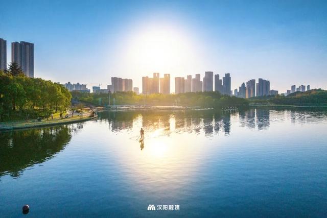 武汉城中心的彩叶秘境，在汉阳藏不住了！