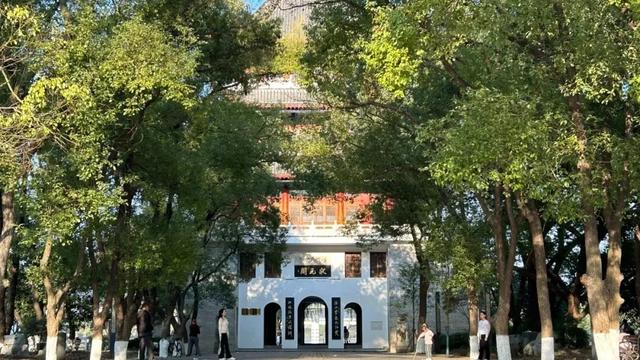 醴陵冬日限时暖阳已上线，公主王子请享用