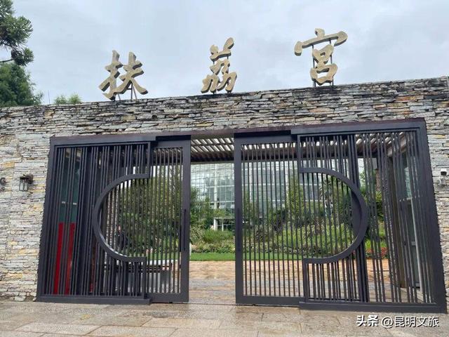 探索自然野趣、探秘植物王国……带孩子来昆明避暑，走这条线路必游！