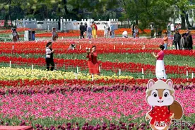 阵雨、大风、降温～@沈阳人 请根据气温变化及时调整着装图片