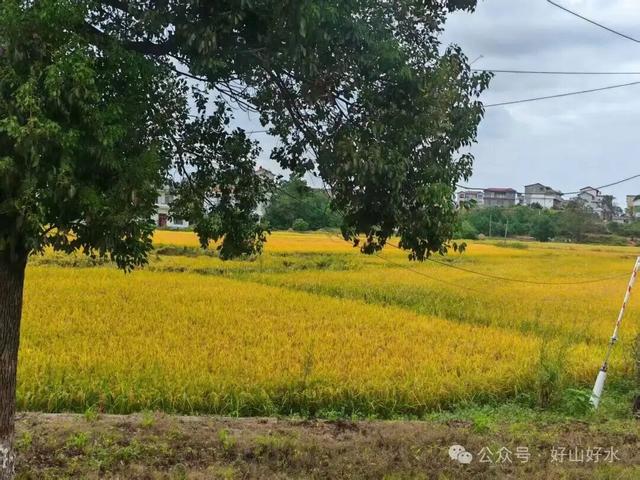 南昌之行 // 陈清东