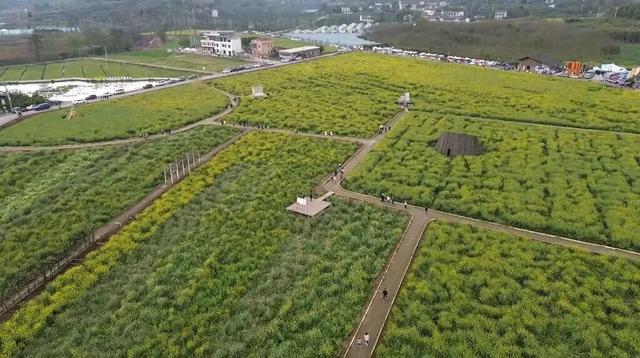 地名里的重庆 | 璧山七塘镇：“七塘”何来？