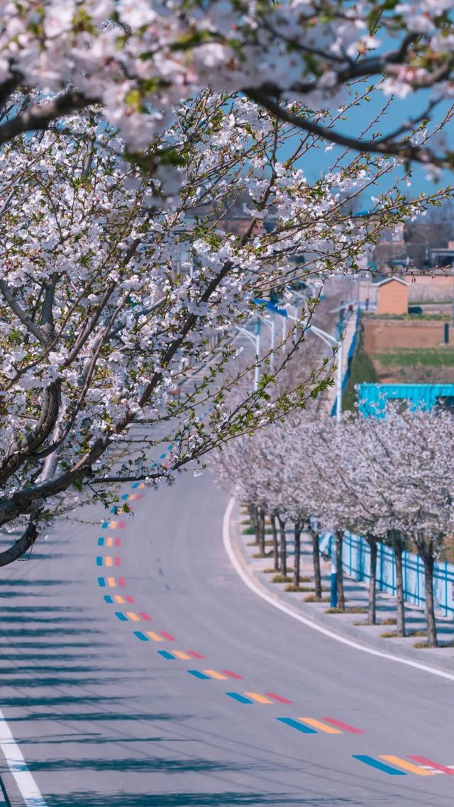 石巷、落日、采摘，济南这座古村一年四季都在“慢生活”