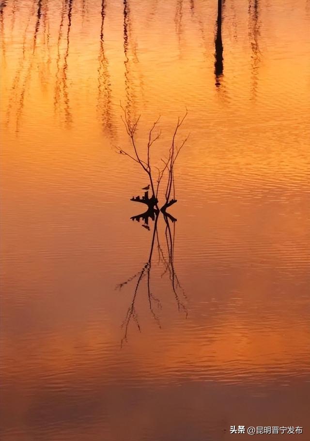 滇池南岸 浮光跃金