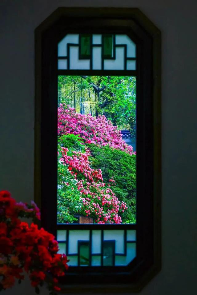 无锡这座绝美花园，免费开放了