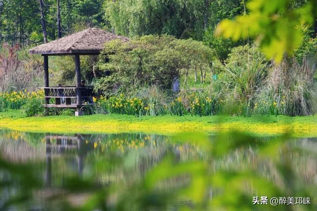 跟着世运游成都，这些「村游」目的地出圈又出片！
