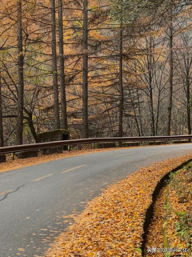 车过神农架【原创】作者：原铁十师陶玉和