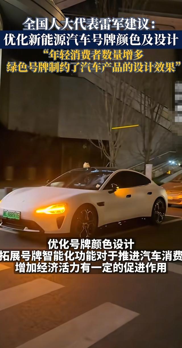雷军又搞大动作！建议优化新能源车牌，买车不被绿牌“拖累”设计