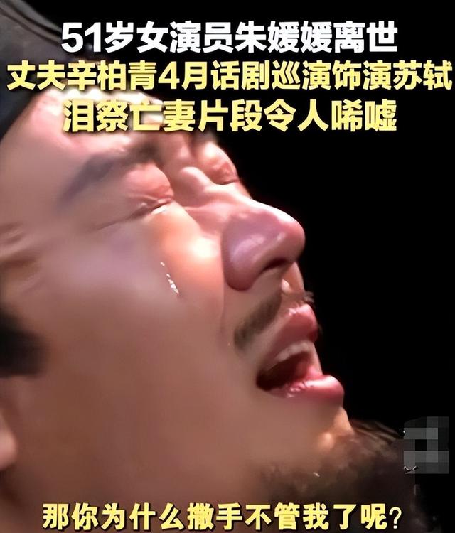 蒋勤勤，揭开辛柏青丧妻两个月后的真实处境，印证了李乃文的担心