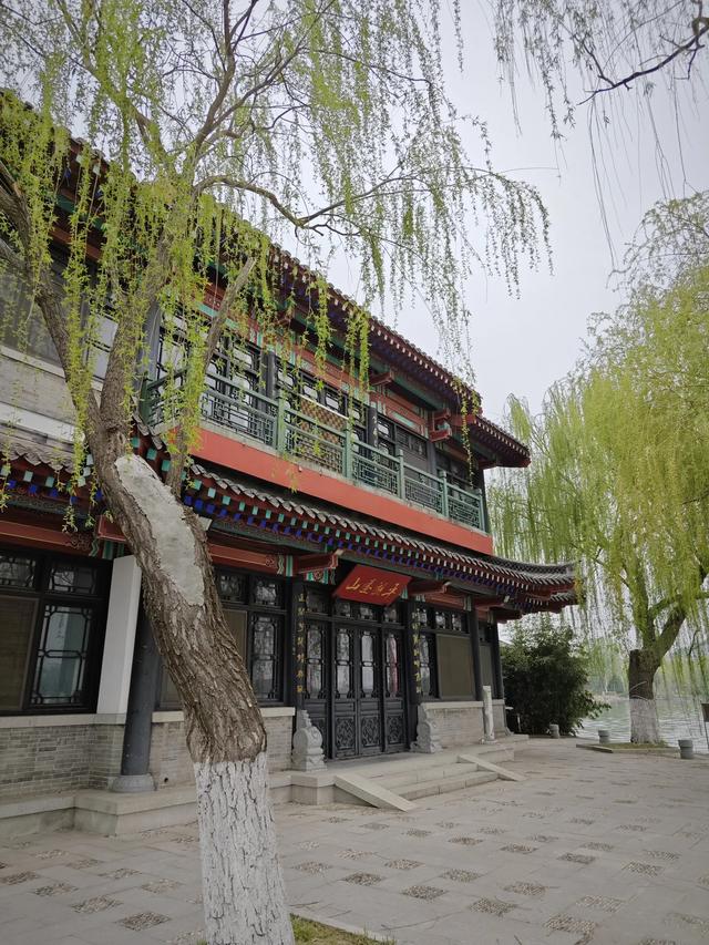 《清明游园博园》