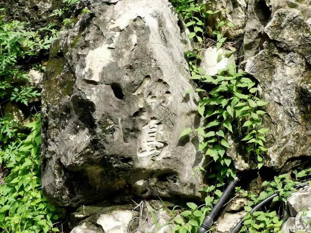 在颐和园野餐的感觉