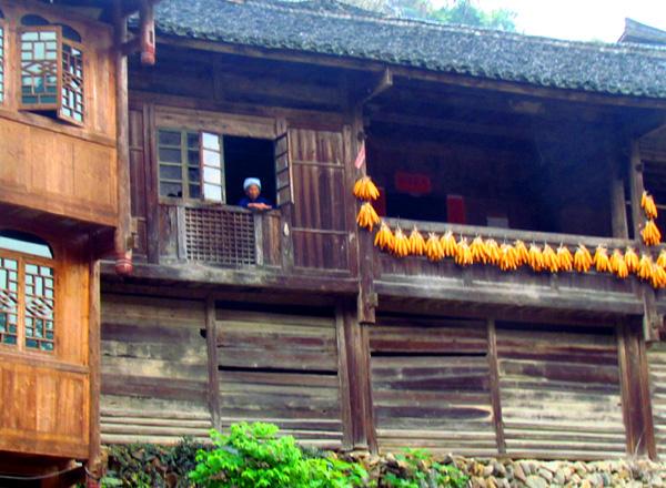 广西旅游：探寻壮丽奇观龙脊梯田（图）