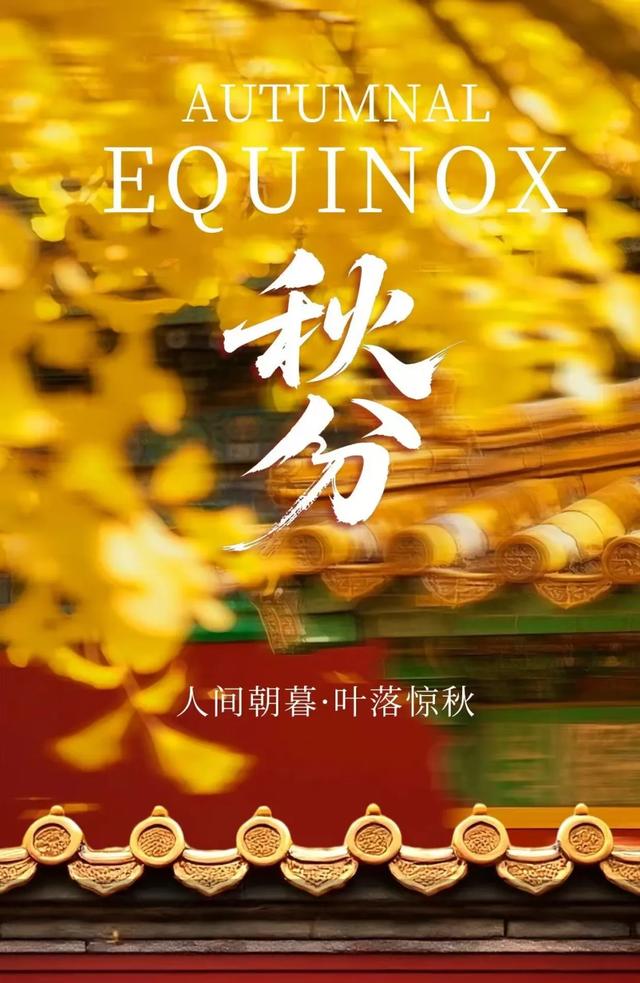 【节气里的大美中国】今日秋分：一叶梧桐落，天下尽知秋
