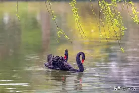 不要随意评论别人图片