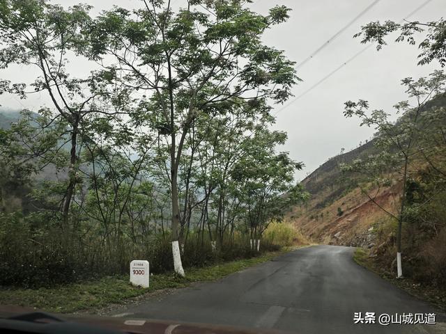 219国道云南段自驾路况2025