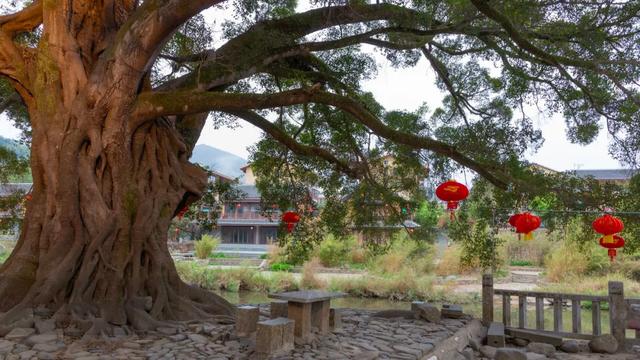 客家土楼景,云水谣镇情——史上最全福建漳州旅游攻略