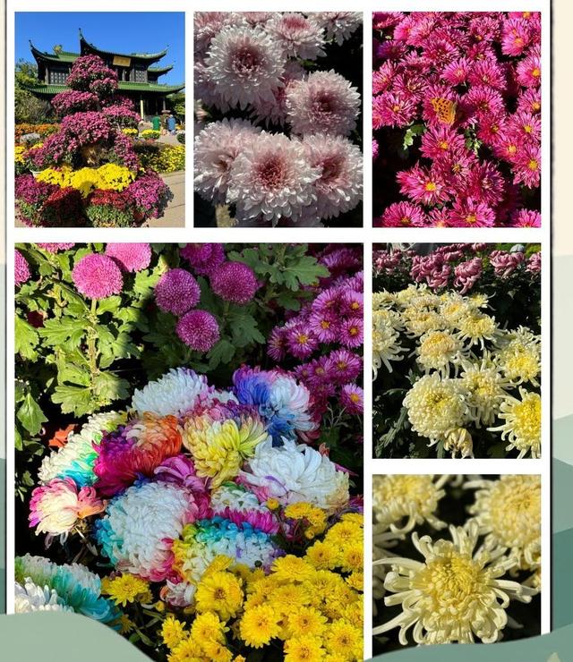 扬州冬始，园林私语