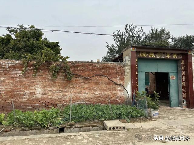 冠县乡韵·桑阿镇野场村