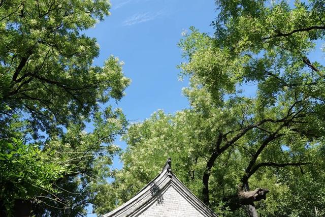 山东有座2000年前的名城，寻访李清照范仲淹们在青州古城的足迹