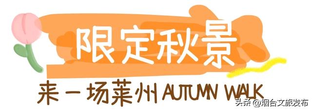 【乐游烟台】一眼惊艳！烟台这座小城最近太火了