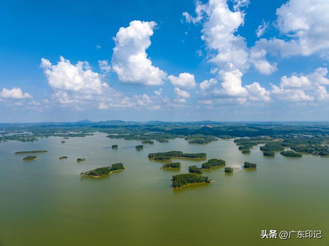 中国橙乡，魅力廉江