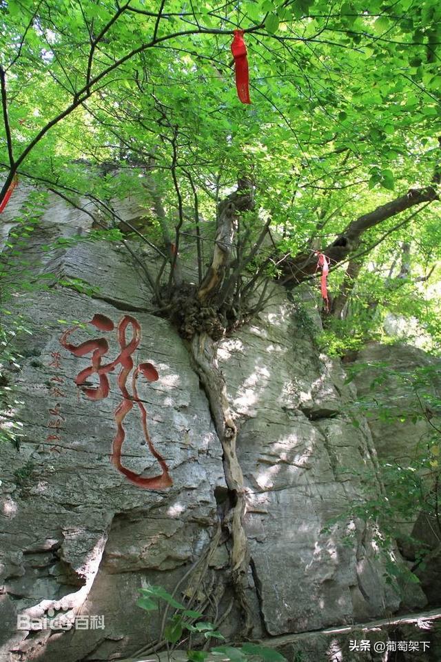 峄县八景：镌刻在鲁南大地上的千年文脉