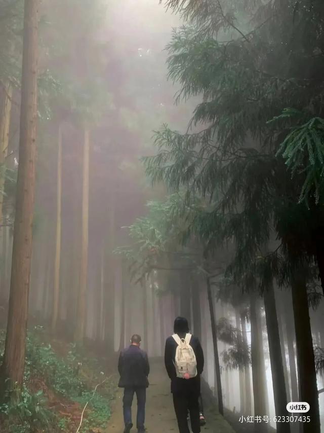 全部当天来回！精选10个王牌好耍地，奇观、异域、美食全都有，国庆不走远就看这篇！