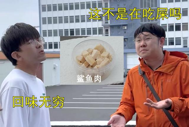 带全公司在冰岛玩10天有多爽?同事:人就不应该上班!