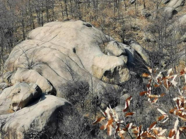 天中盆景！泌阳小黄山的奇石与原生态美景